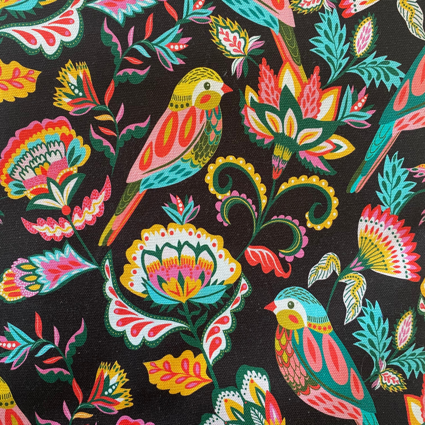 Medium - Colourful Birds