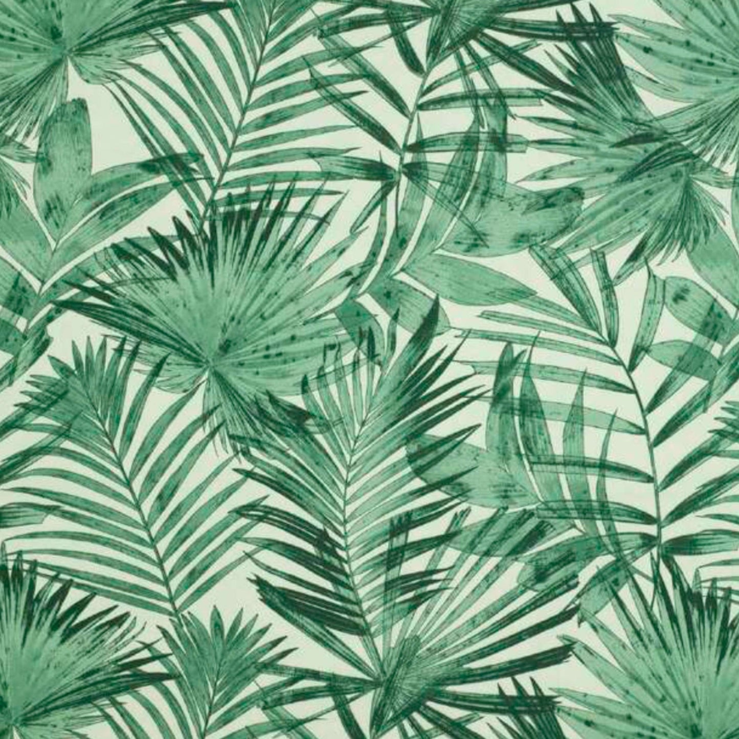 Medium - Classic Palms - Ships Out Week of 19/5