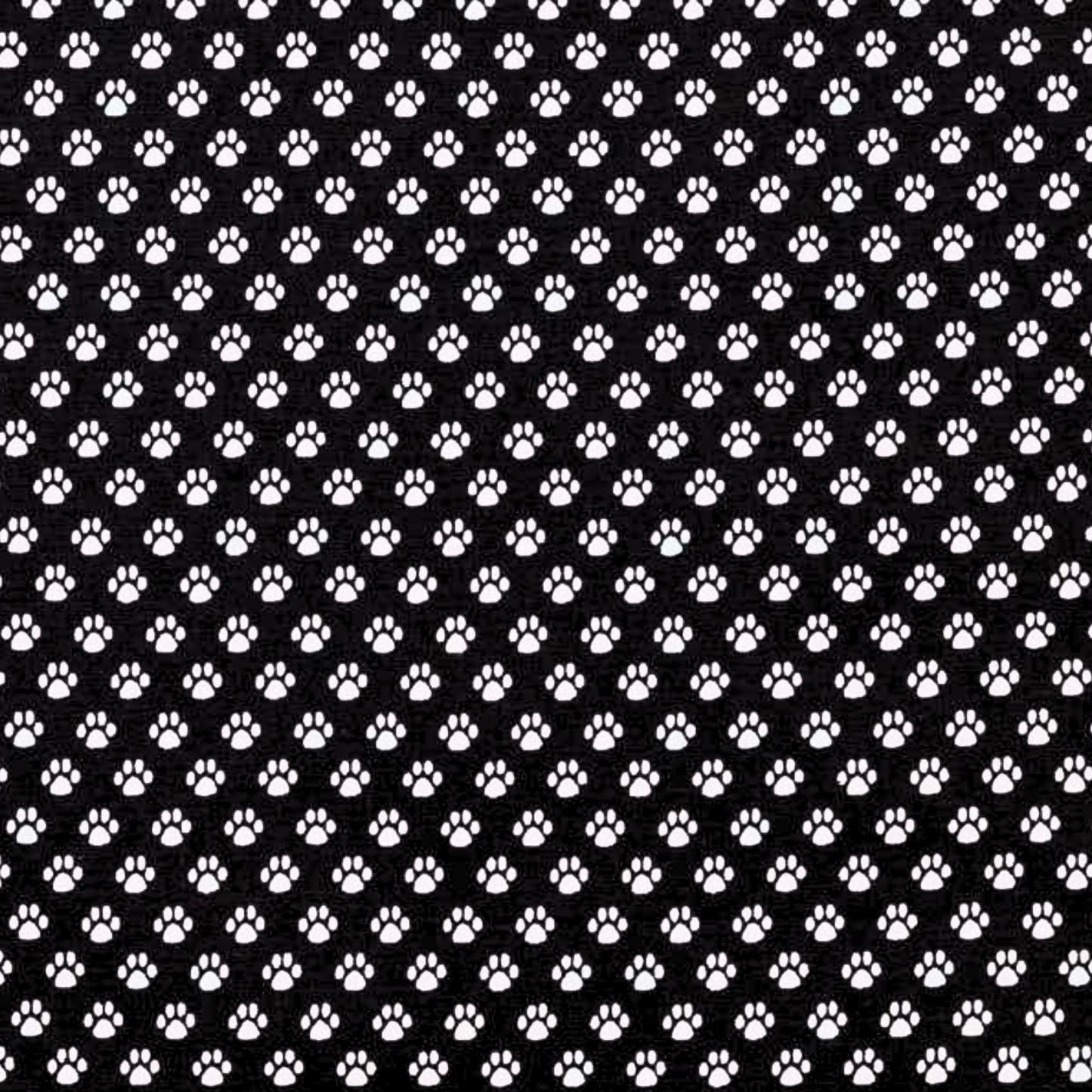 Medium Dog Booster Car Seat - B&W Paws
