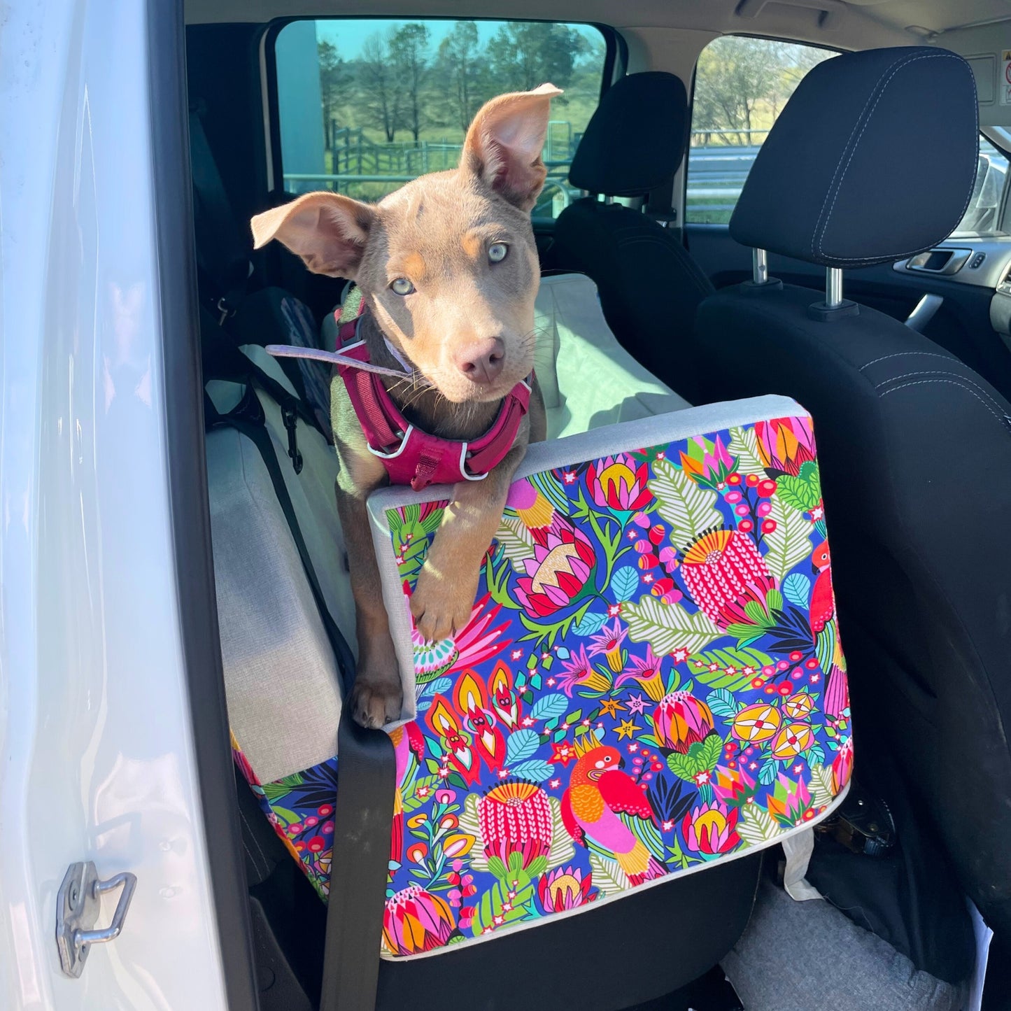 Birds and Banksia Custom Dog Booster Car Seat