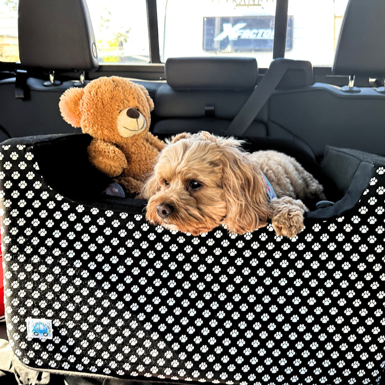 B&W Paws Custom Dog Booster Car Seat - Best Seller