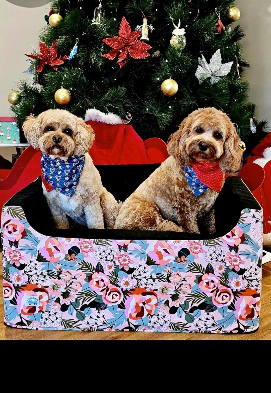 Blush Natives Custom Dog Booster Car Seat - Limited Stock