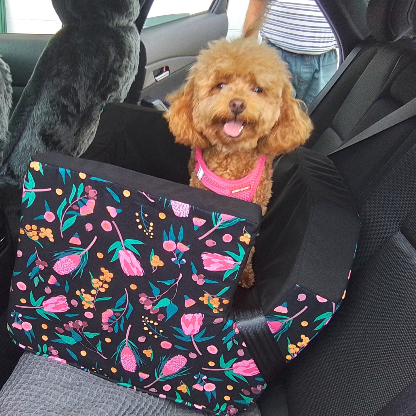 Black Banksia Custom Dog Booster Car Seat