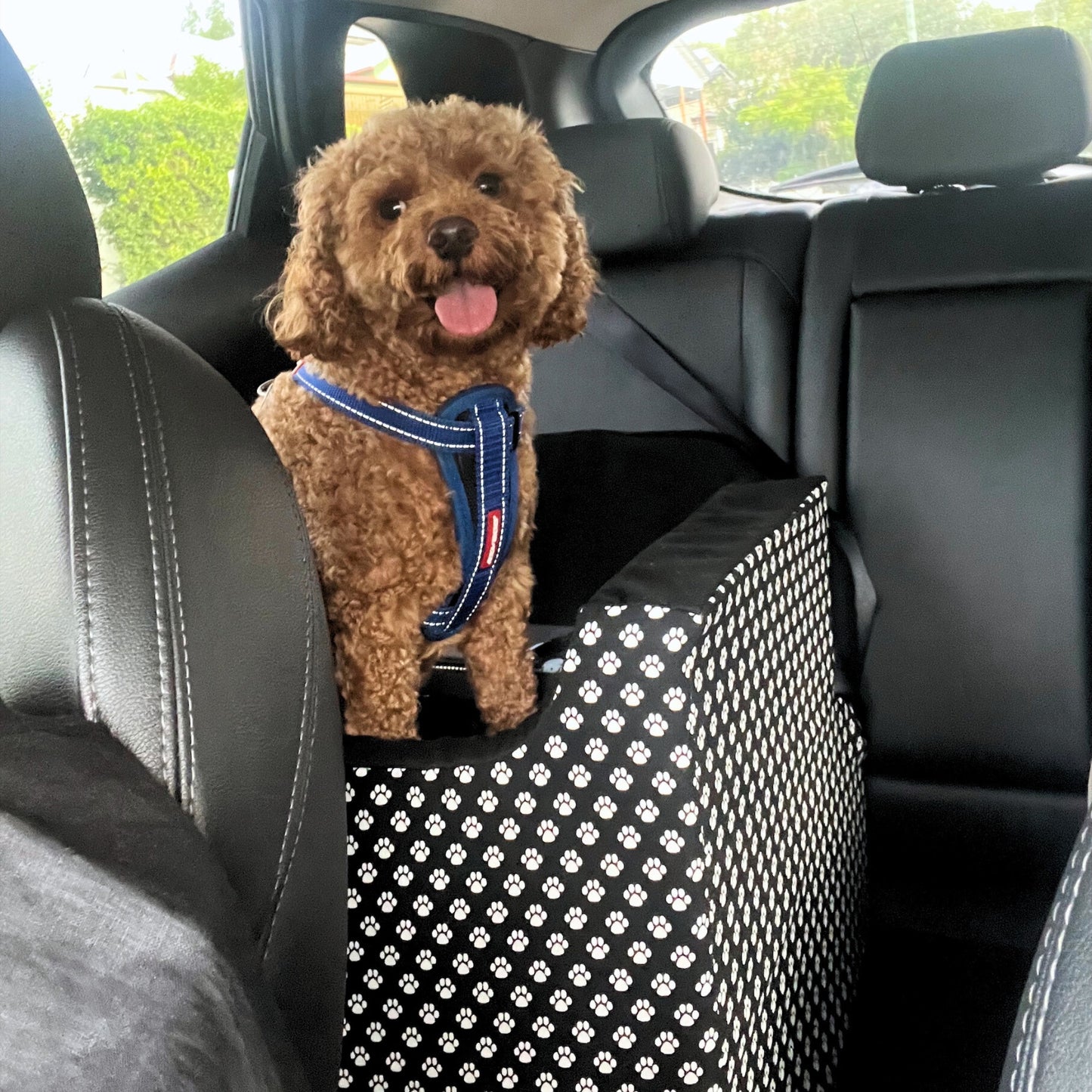 B&W Paws Custom Dog Booster Car Seat - Best Seller