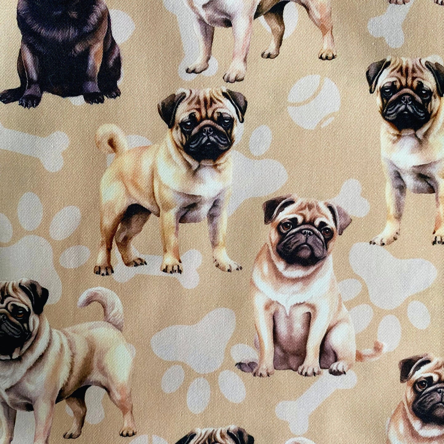 NEW- Pug Beige Custom Dog Booster Car Seat