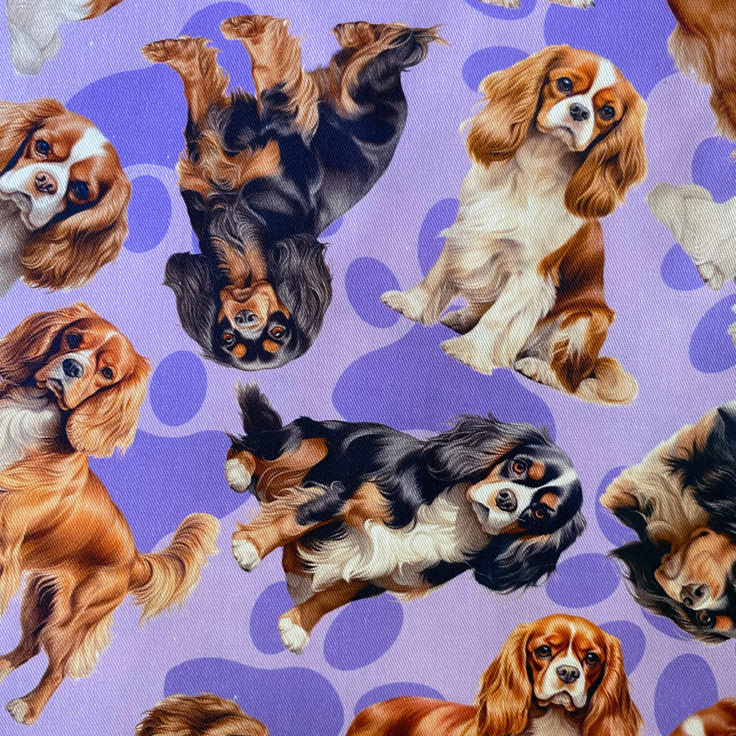 Cavalier Purple Custom Dog Booster Car Seat