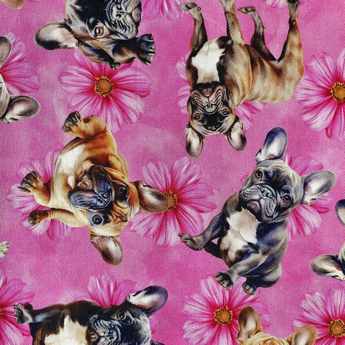 RESTOCKED - French Bulldog Pink Custom Dog Booster Car Seat