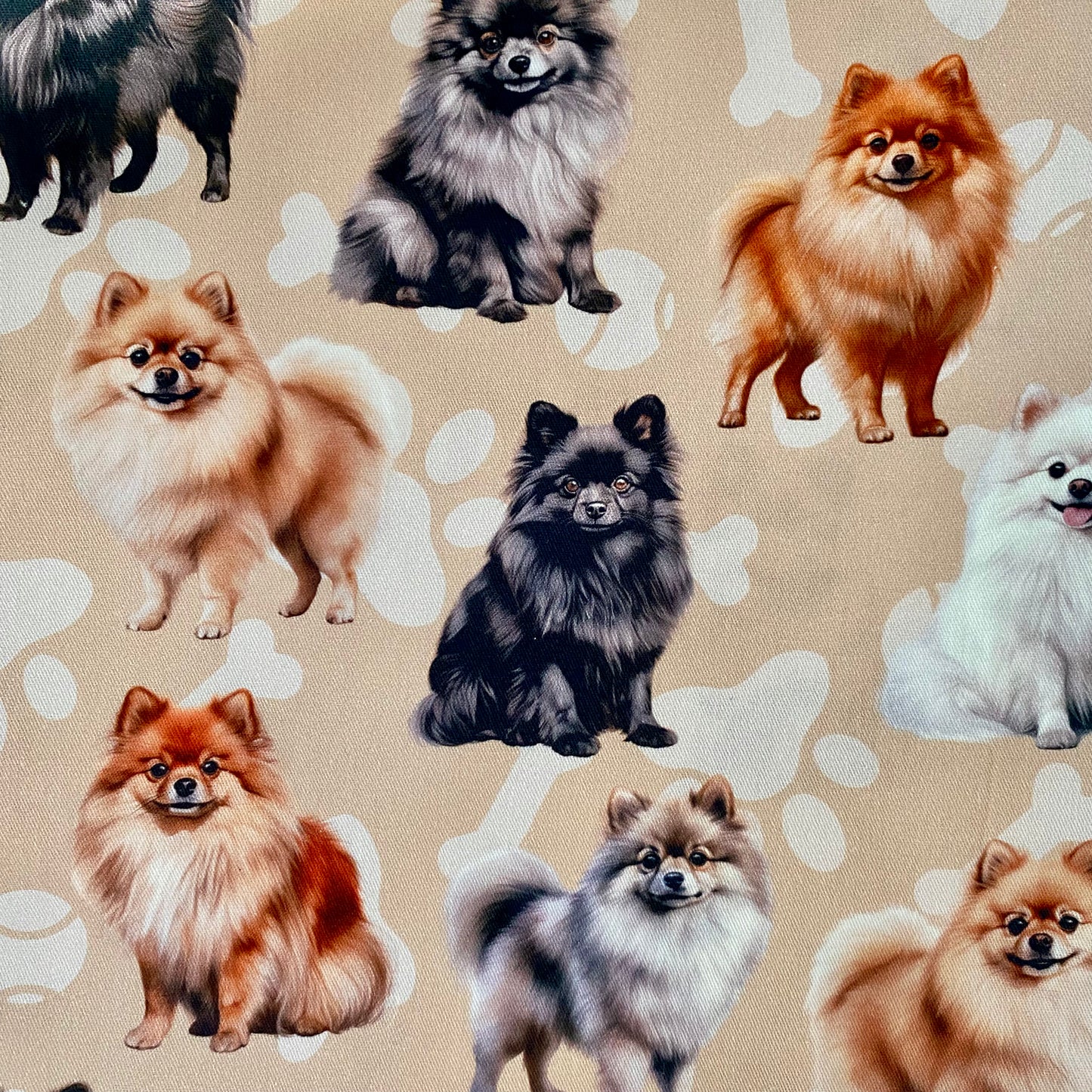 Pomeranian Beige Custom Dog Booster Car Seat