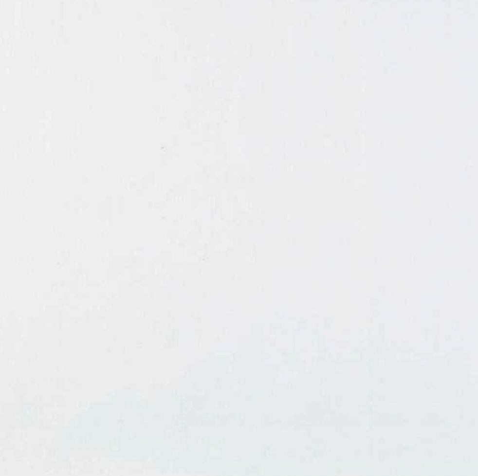 Medium Dog Booster Car Seat - Woofy - Ships Out Week of 1st December