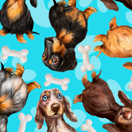 LIMITED STOCK - Dachshund Blue Custom Dog Booster Car Seat