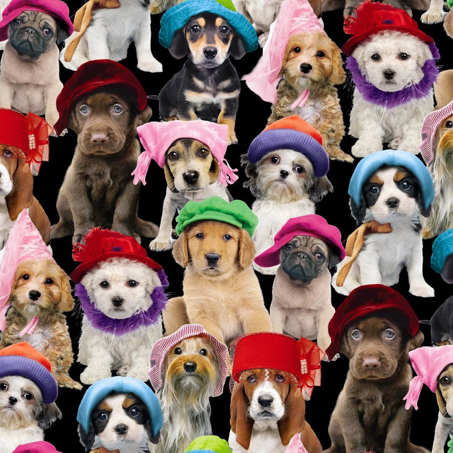 Double Dog Booster Car Seat - Dogs In Hats - Ships Out 4/4