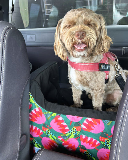 Lorikeets & Natives Custom Dog Booster Car Seat