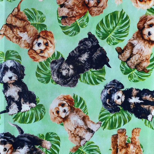 NEW - Cavoodles Green Custom Dog Booster Car Seat