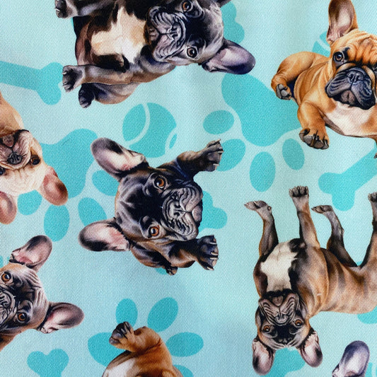French Bulldog Blue Custom Dog Booster Car Seat