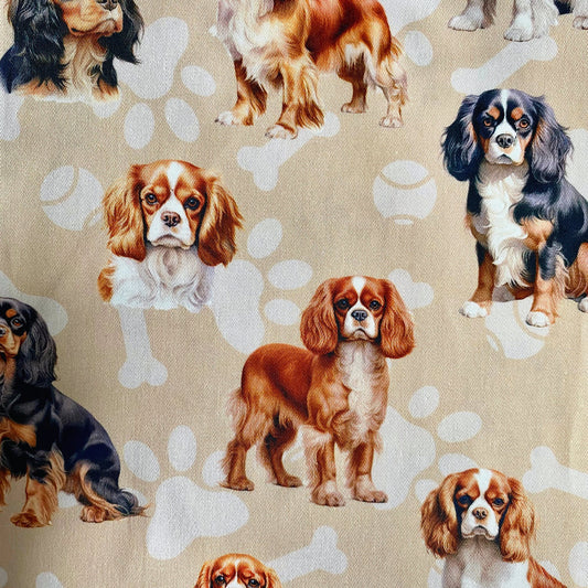 NEW - Cavalier Beige Custom Dog Booster Car Seat