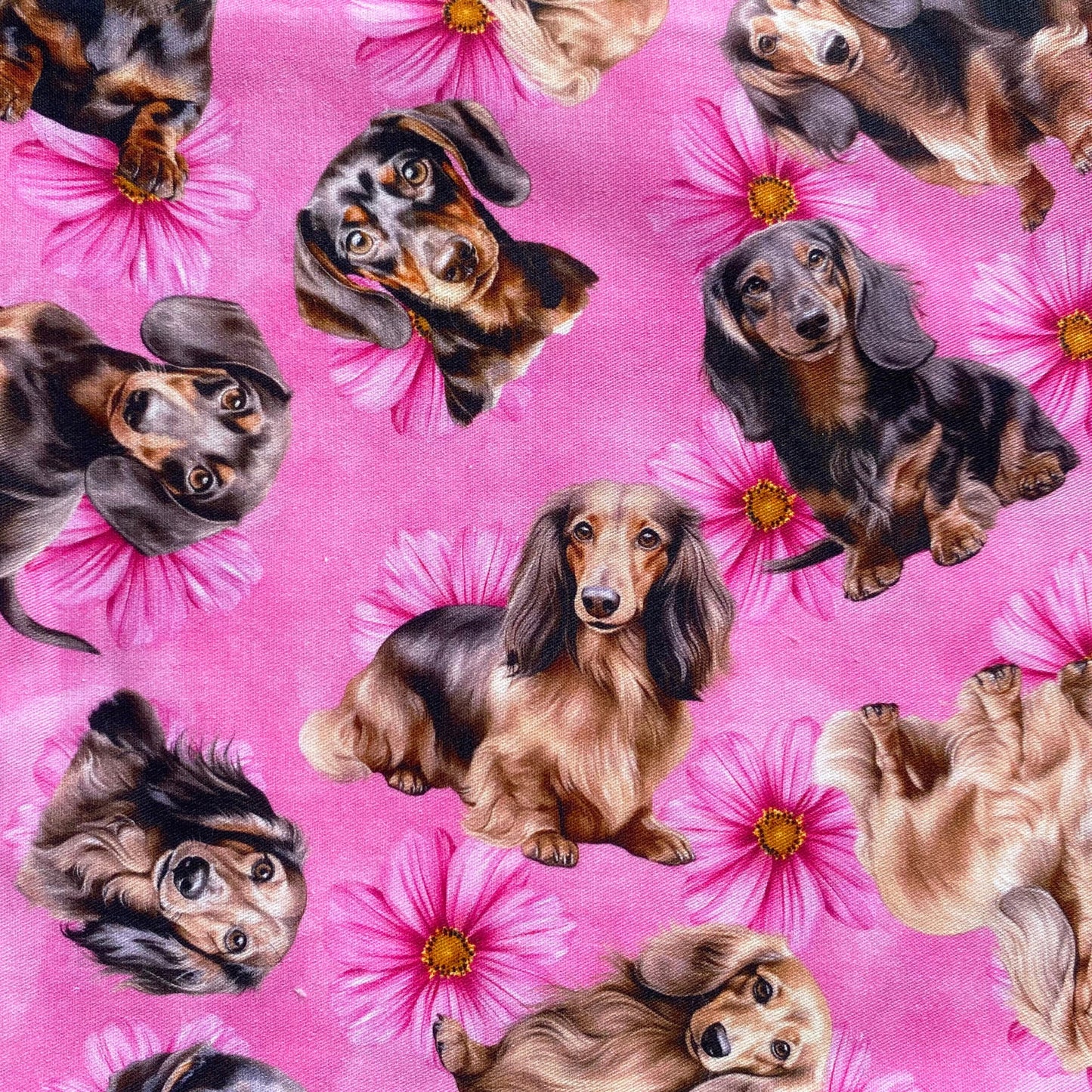 NEW - Dachshund Pink Floral Custom Dog Booster Car Seat