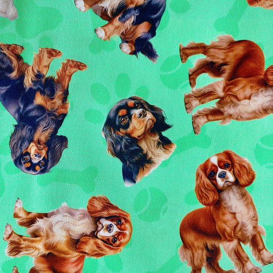 LIMITED STOCK - Cavalier Green Custom Dog Booster Car Seat