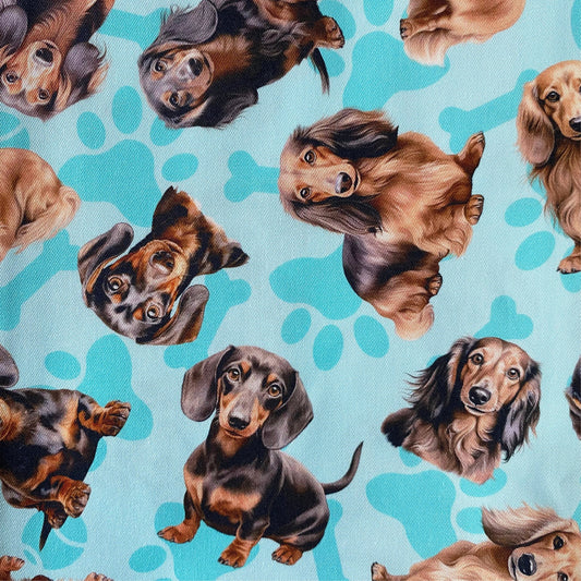 NEW -  Dachshund Light Blue Custom Dog Booster Car Seat