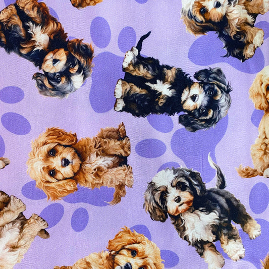 Cavoodles Purple Custom Dog Booster Car Seat