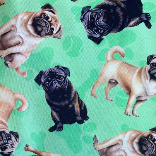 NEW - Pug Green Custom Dog Booster Car Seat
