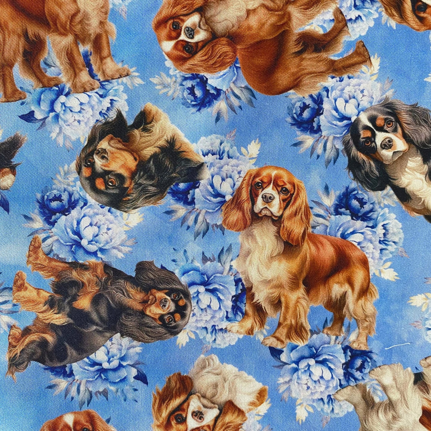 Cavalier Blue Floral Custom Dog Booster Car Seat