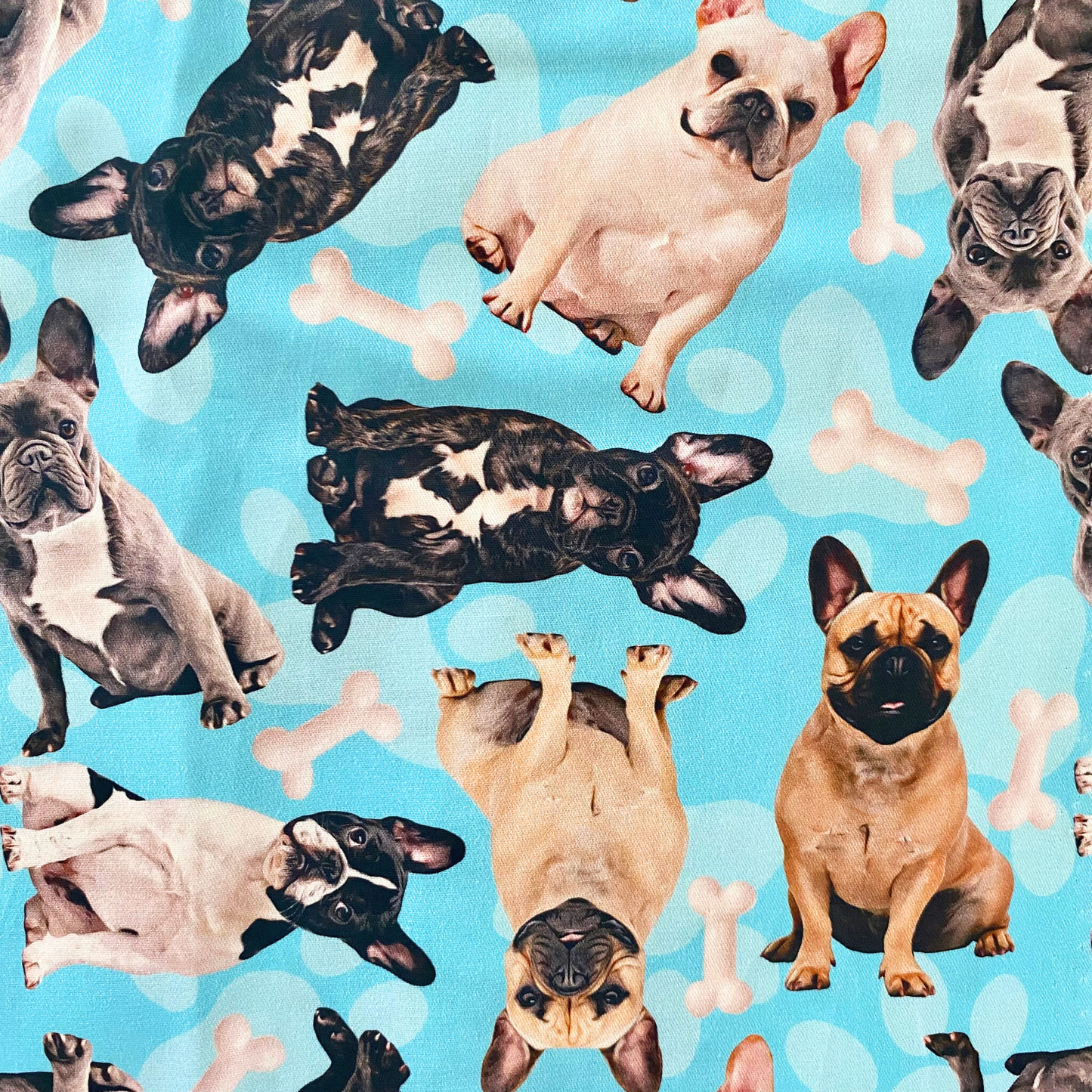 Medium Dog Booster Car Seat - Blue French Bulldog