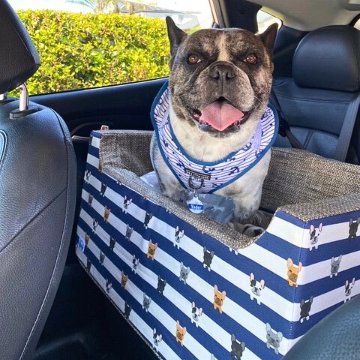 Striped Navy Frenchie Custom Dog Booster Car Seat
