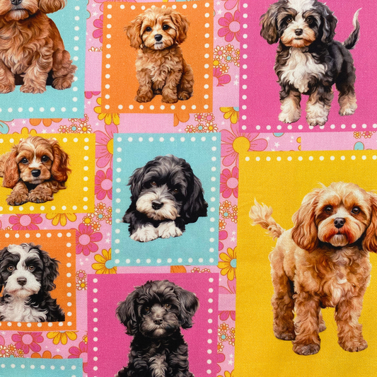 Cavoodles Patchwork Custom Dog Booster Car Seat