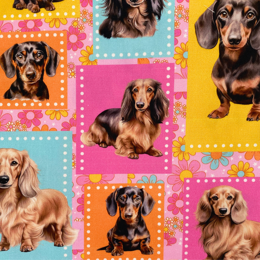 Dachshund Patchwork Custom Dog Booster Car Seat