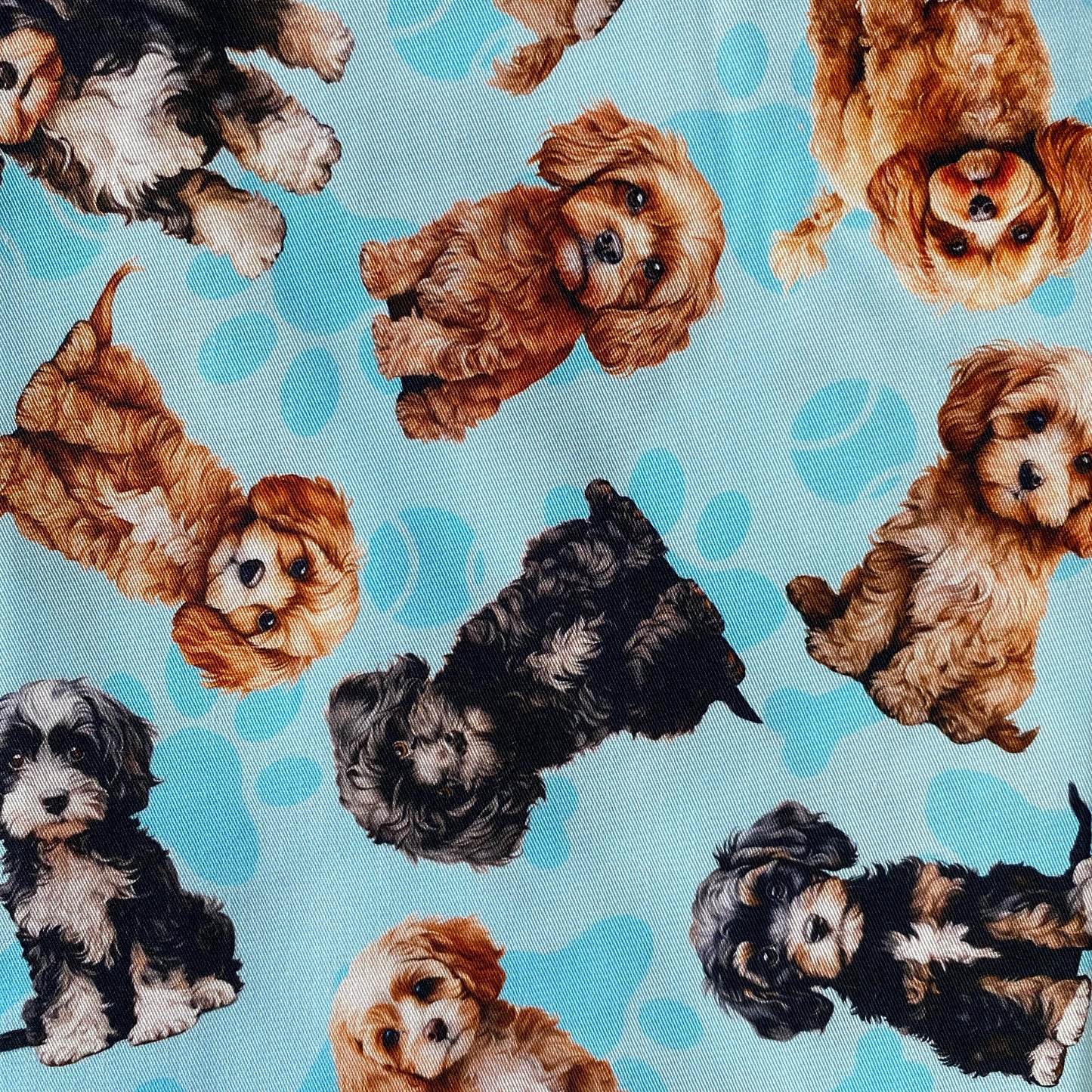 Cavoodles Light Blue Custom Dog Booster Car Seat