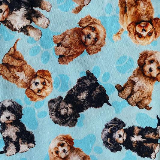 Cavoodles Light Blue Custom Dog Booster Car Seat