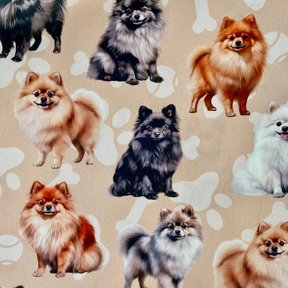Pomeranian Beige Custom Dog Booster Car Seat