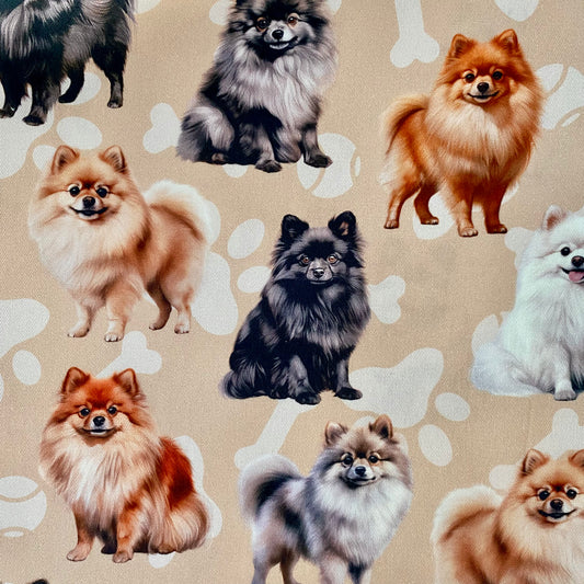 Pomeranian Beige Custom Dog Booster Car Seat
