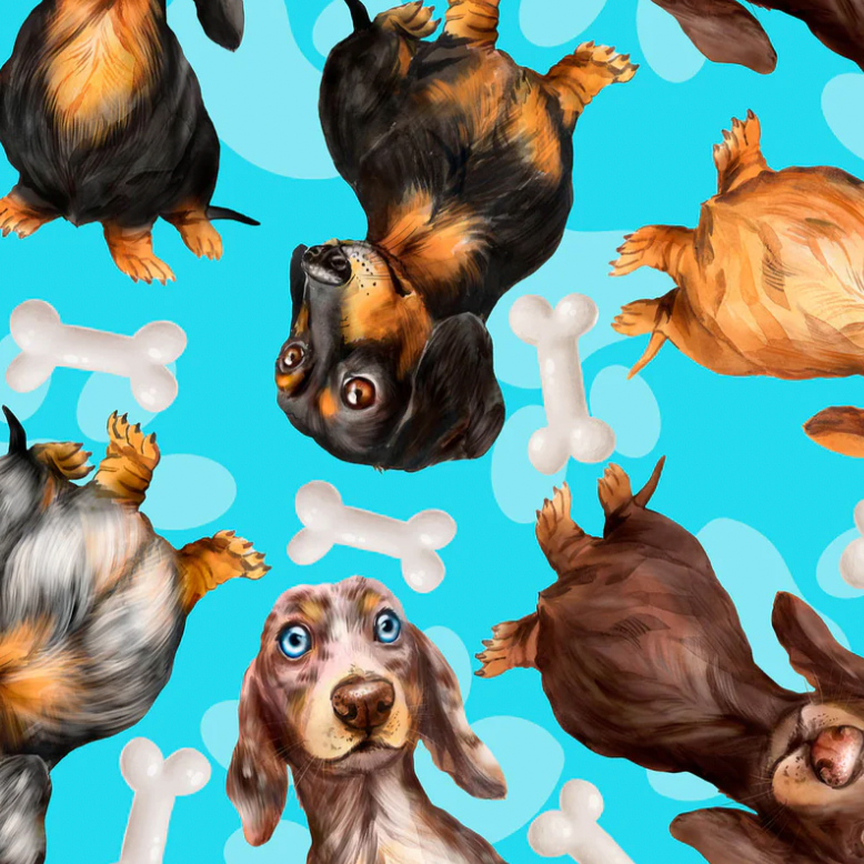 Medium - Blue Dachshunds - Limited Edition