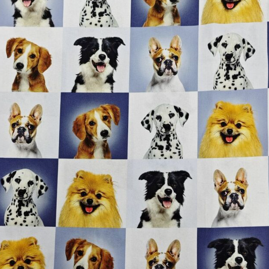 NEW - Puppy Portraits Custom Dog Booster Car Seat